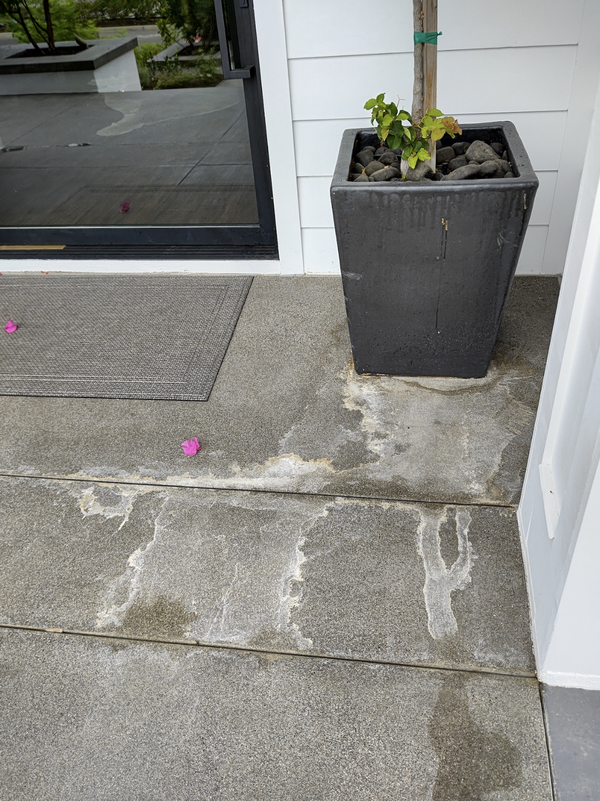 Backyard damage — June 2022 to October 2023