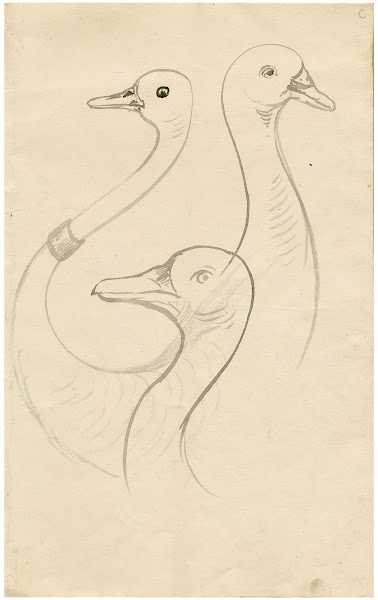 Three heads of gooses Leaf of a sketchbook