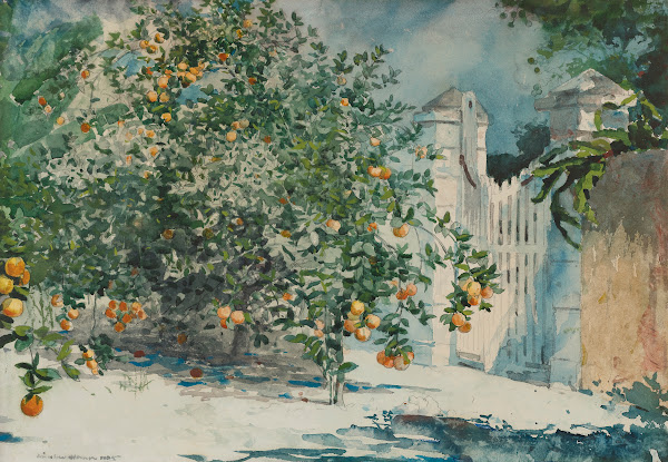 Orange Trees And Gate 1885