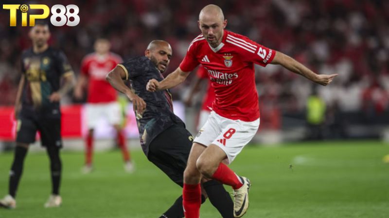 Lịch sử đối đầu giữa Benfica vs CF Estrela da Amadora