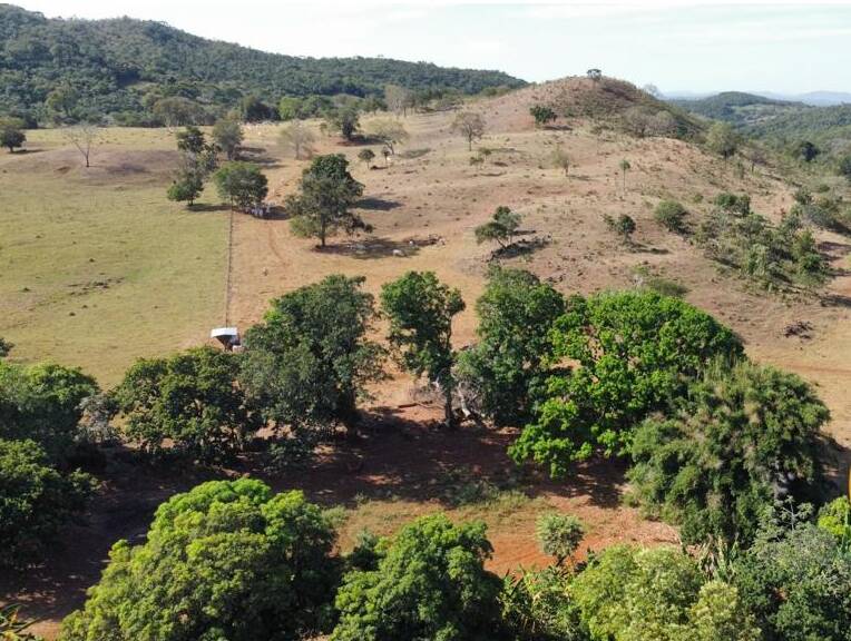 Fazenda no Município de Faina - GO 3