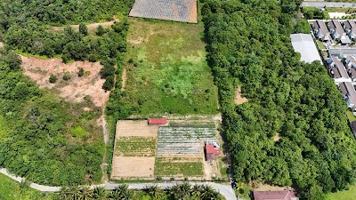 Tanah Pertanian 2 Ekar Kg Sesapan Kelubi, Beranang (Sewa) — foto 2/4