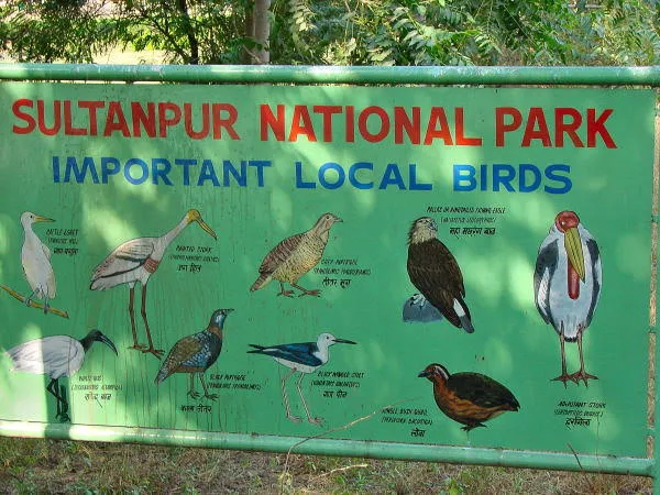Sultanpur Bird Sanctuary