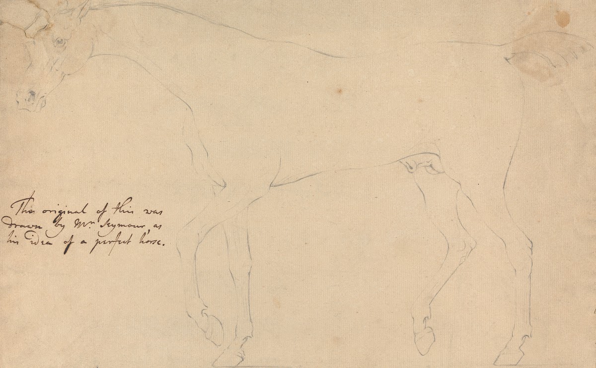 A Perfect Horse 1760