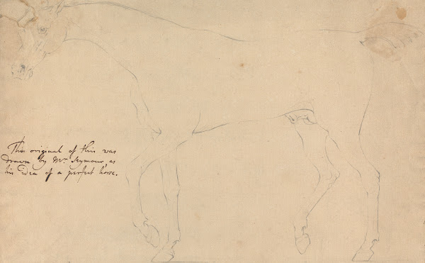 A Perfect Horse 1760