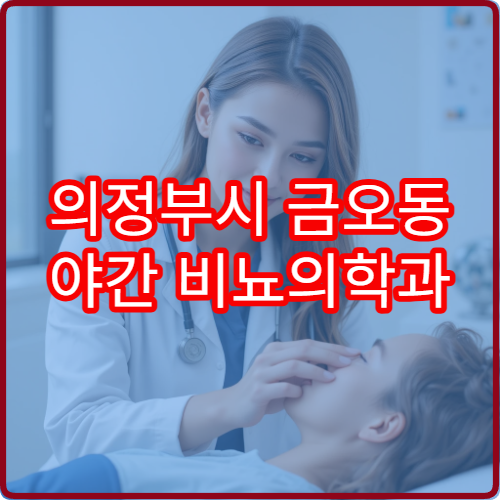 의정부시 금오동 야간 비뇨의학과 요로결석 통증 진료 병원 정보