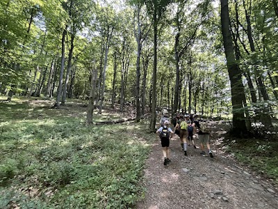 Kalocsa - IMG_0229.JPG
