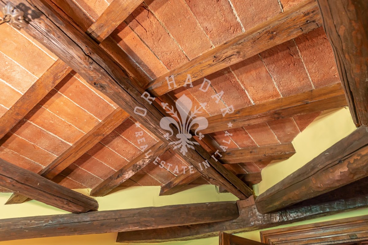 הבית מאחורי הגבעה (Il Casale dietro la Collina) — 44