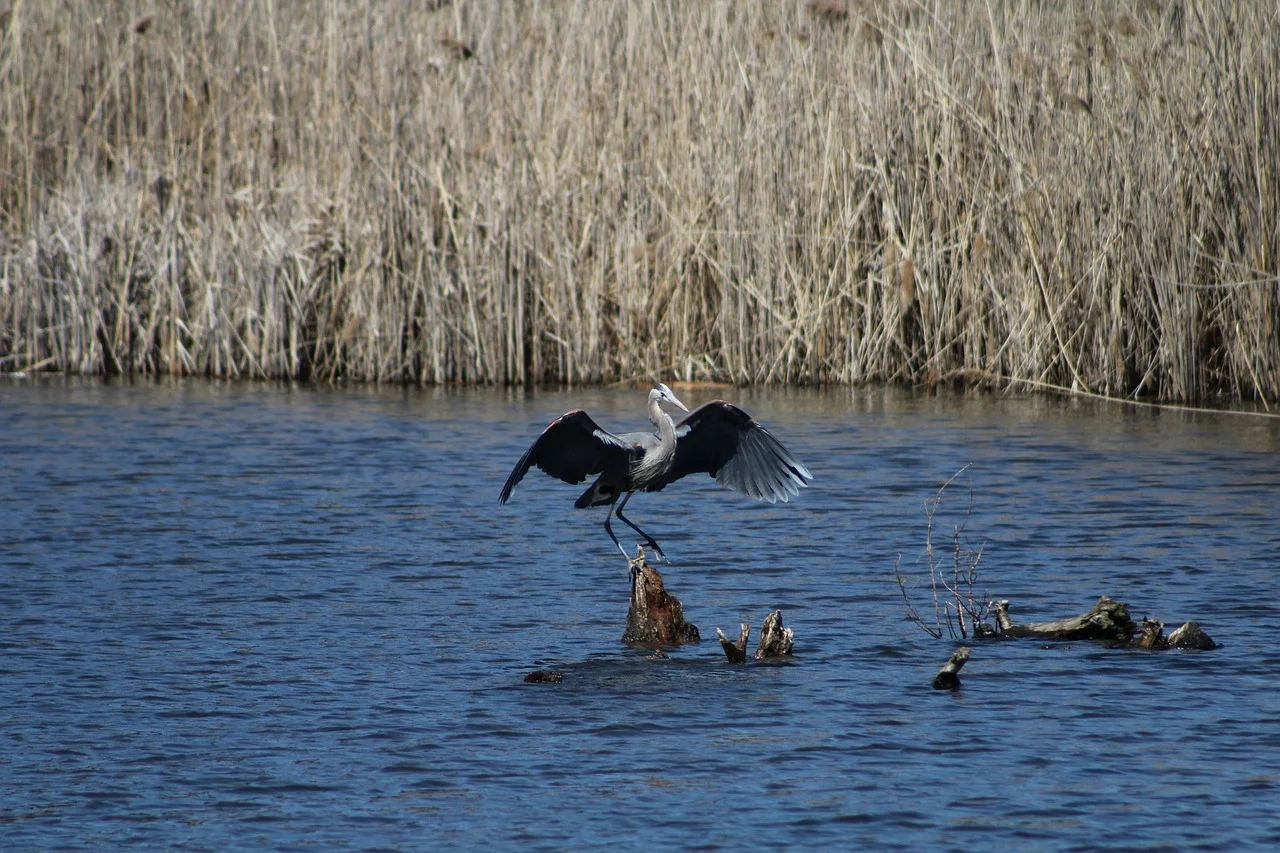 섹션 3 이미지