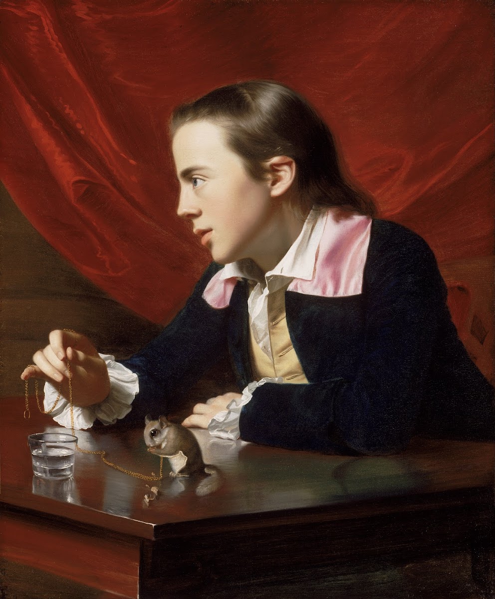 A Boy With A Flying Squirrel Henry Pelham 1765