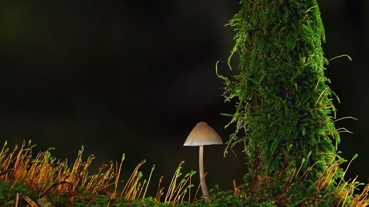 소액투자시작, 매일 1천원씩