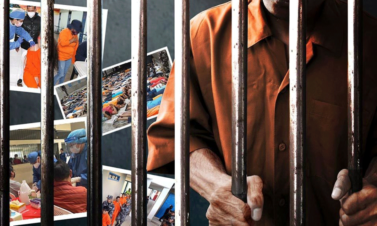 Criminal Justice in the Digital Age: Global Challenges and the Rise of Forensic Education