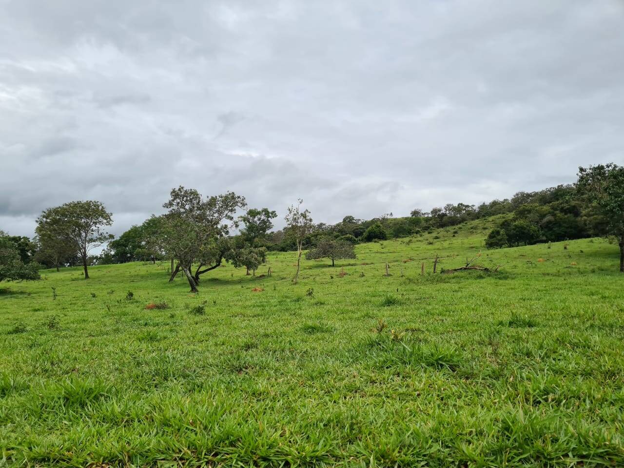 Fazenda no Município de Santa Cruz- GO 2