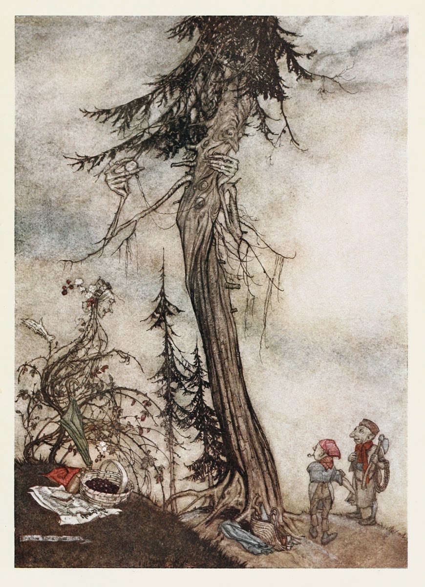 The Fir tree and the Bramble 1912