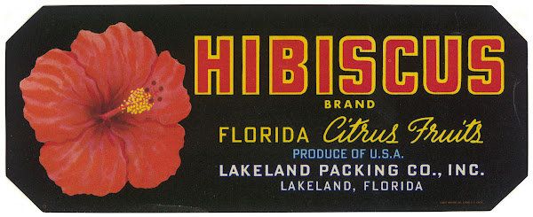 Hibiscus Brand Florida Citrus Fruit Label 1930 1950