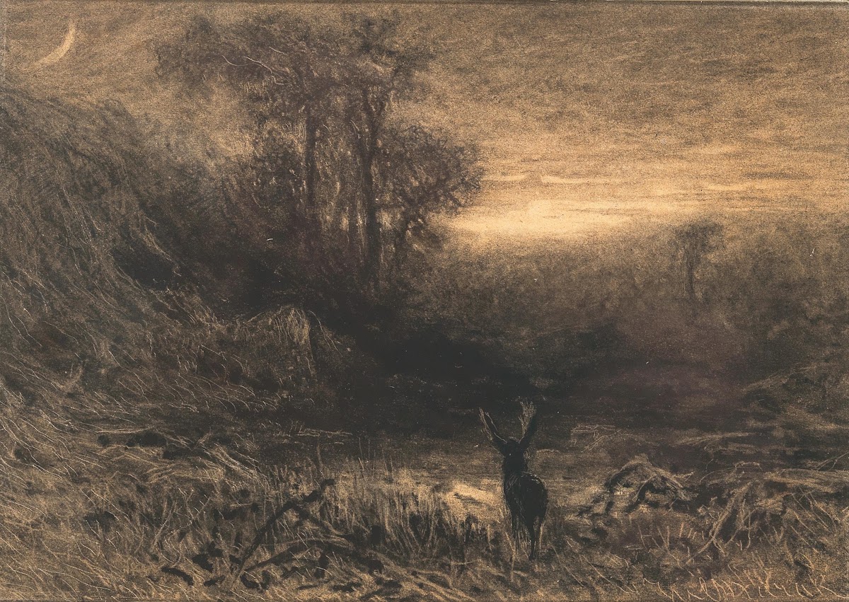 A stag at the edge of a wood at moonlight