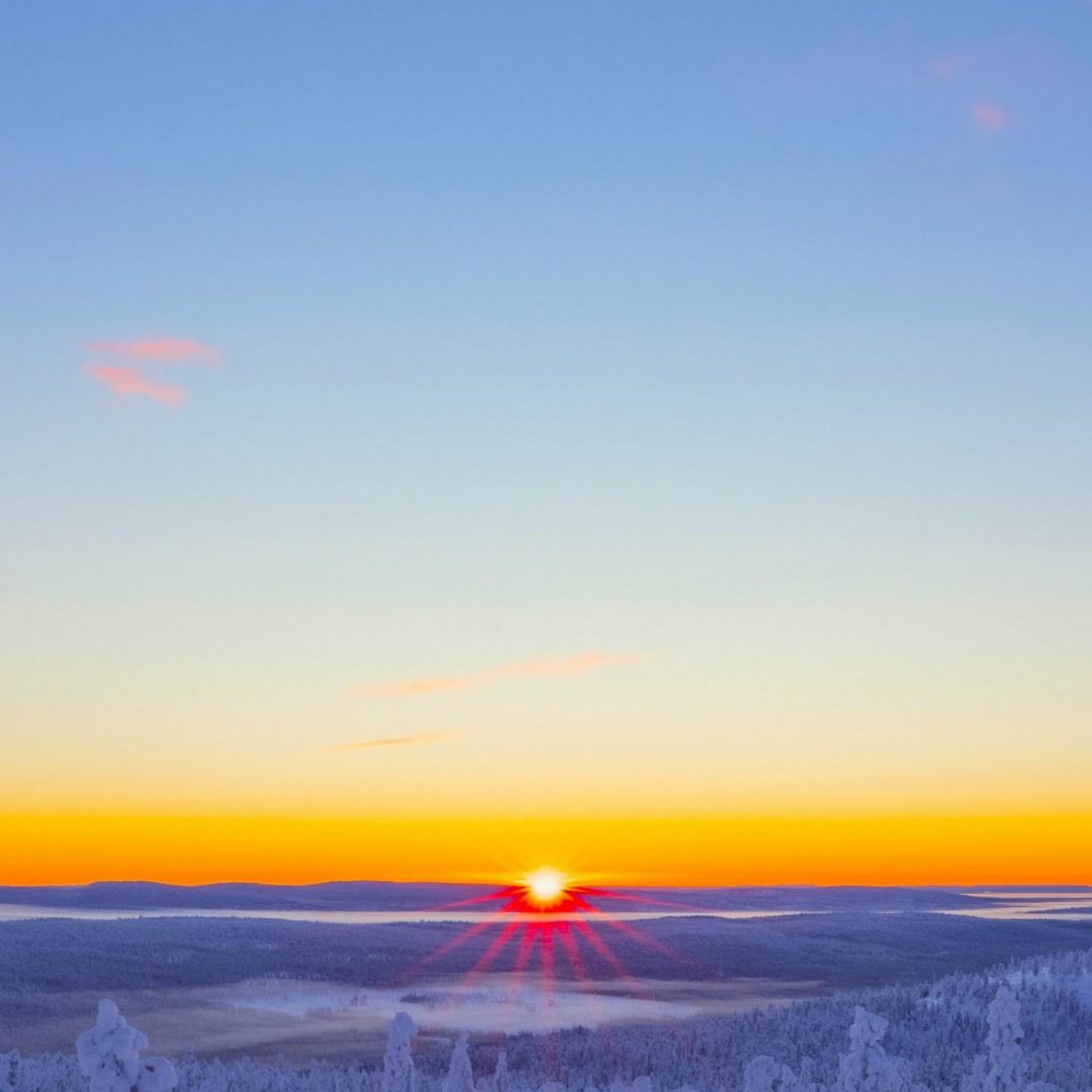 Download Snowy Winter Sunrise Over Forest Full HD iPhone