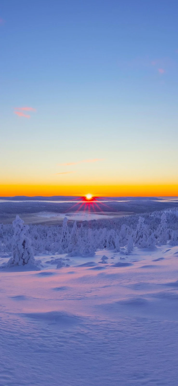 Snowy Winter Sunrise Over Forest - Nature Photography Full HD iPhone Wallpaper (1090x2360)