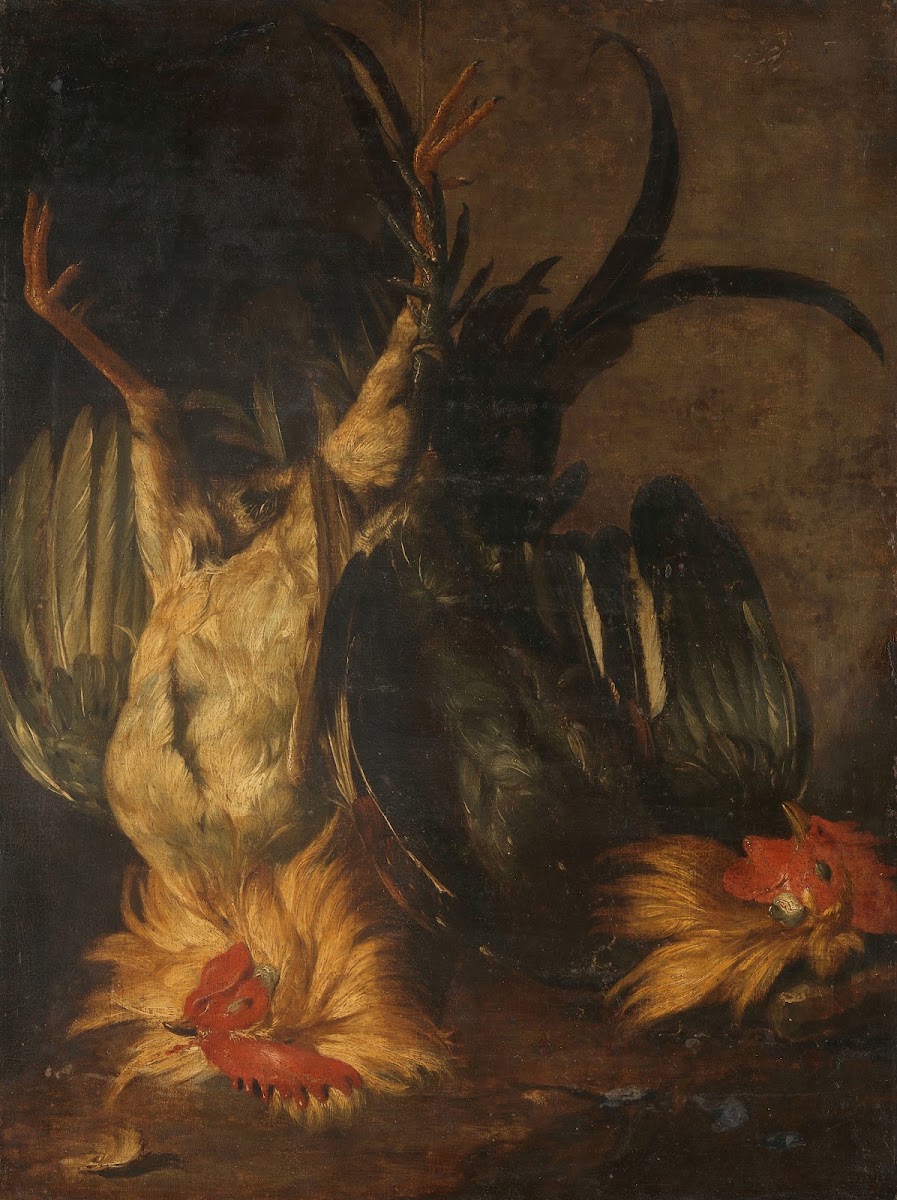 Dead roosters 1671