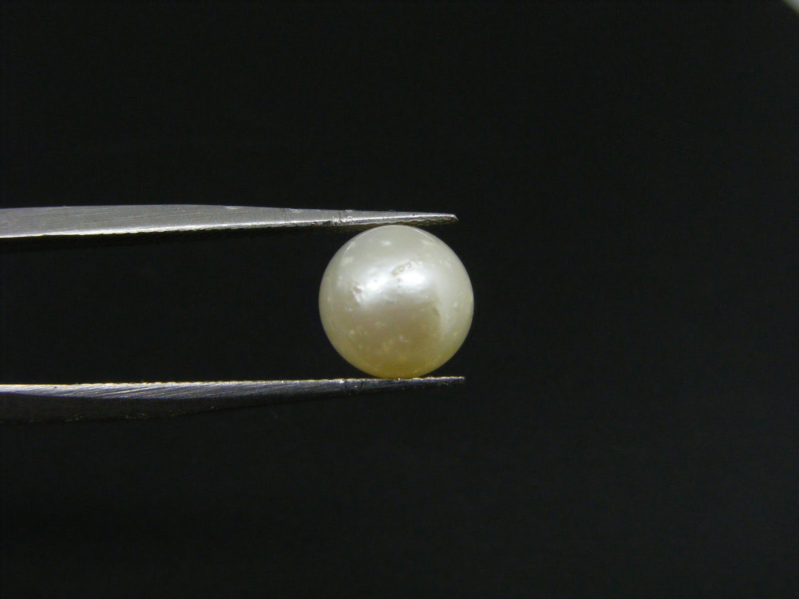 South Sea Pearl 3.60
