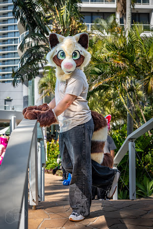 furdu-03947.jpg