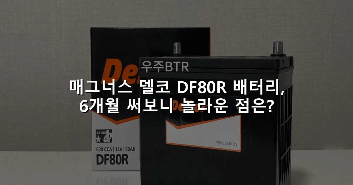 매그너스 델코 DF80R 배터리, 6개월 써보니 놀라운 점은?