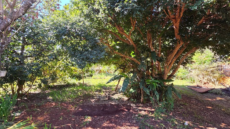 Foto 13 de Casa no condomínio O Estribo