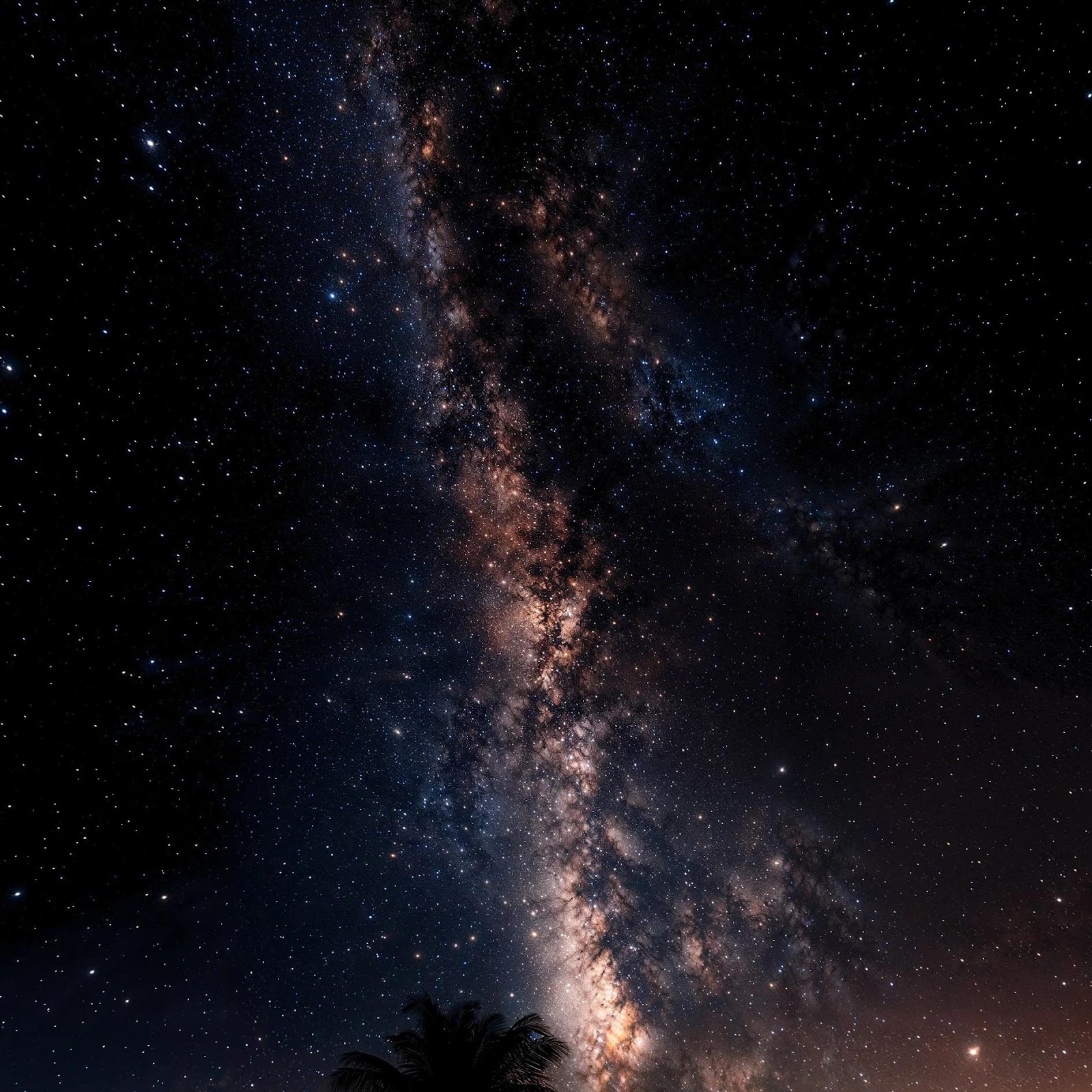 Download Milky Way Over Palm Trees 2K iPhone
