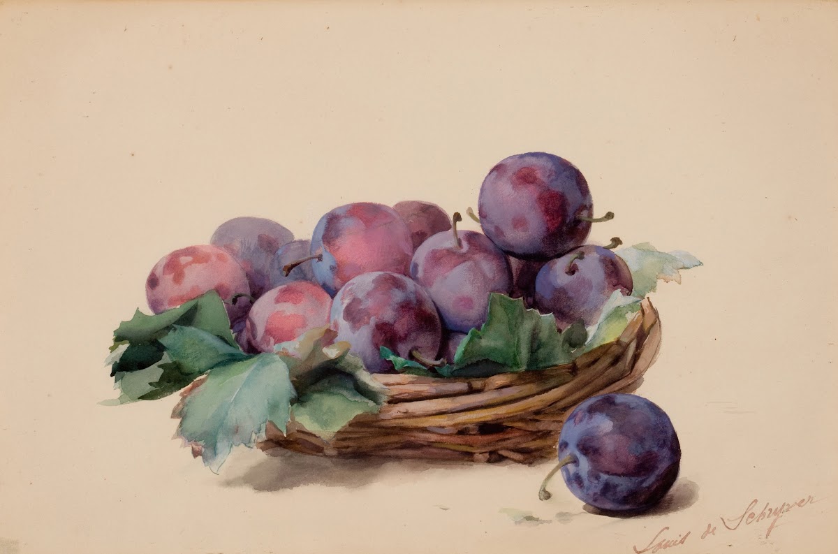 Basket of Plums