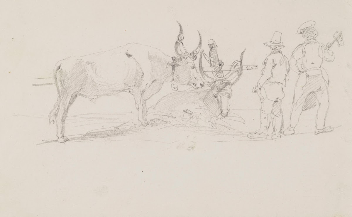 Pair of Oxen in a Harness and Two Men 1850   1860