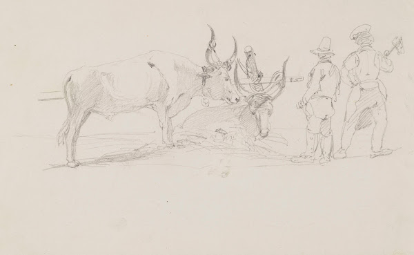 Pair of Oxen in a Harness and Two Men 1850   1860