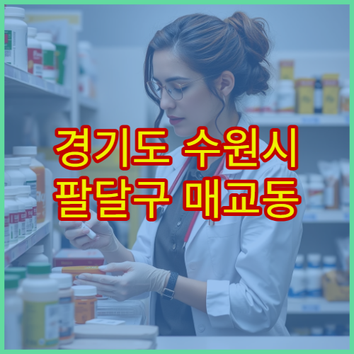 경기도 수원시 팔달구 매교동 설날 연휴 휴일 운영 약국 정보