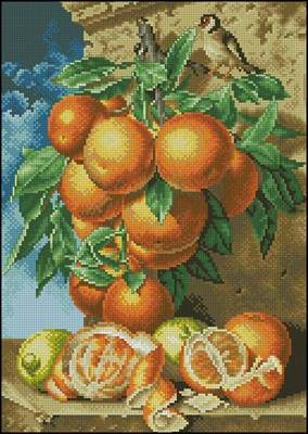 CMP 200691 Pattern