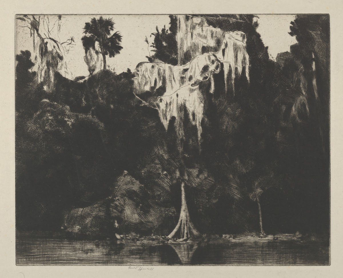 Ghost Cypress 1914 1925