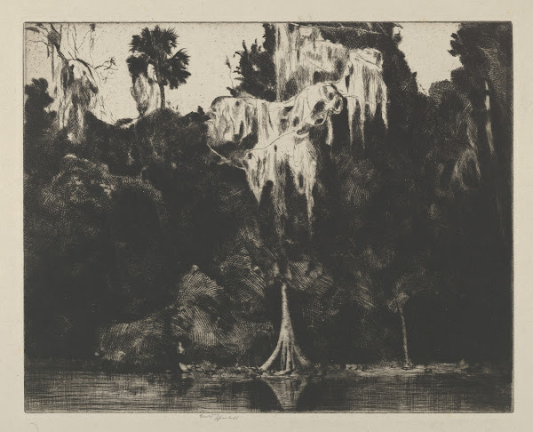 Ghost Cypress 1914 1925