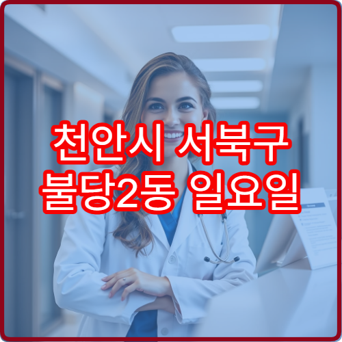 천안시 서북구 불당2동 일요일 피부과 진료 병원 가려움 완화 치료