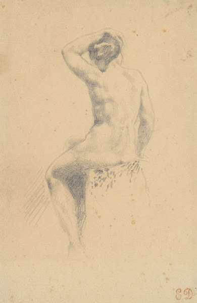 Female Nude Seen from theRear 182535