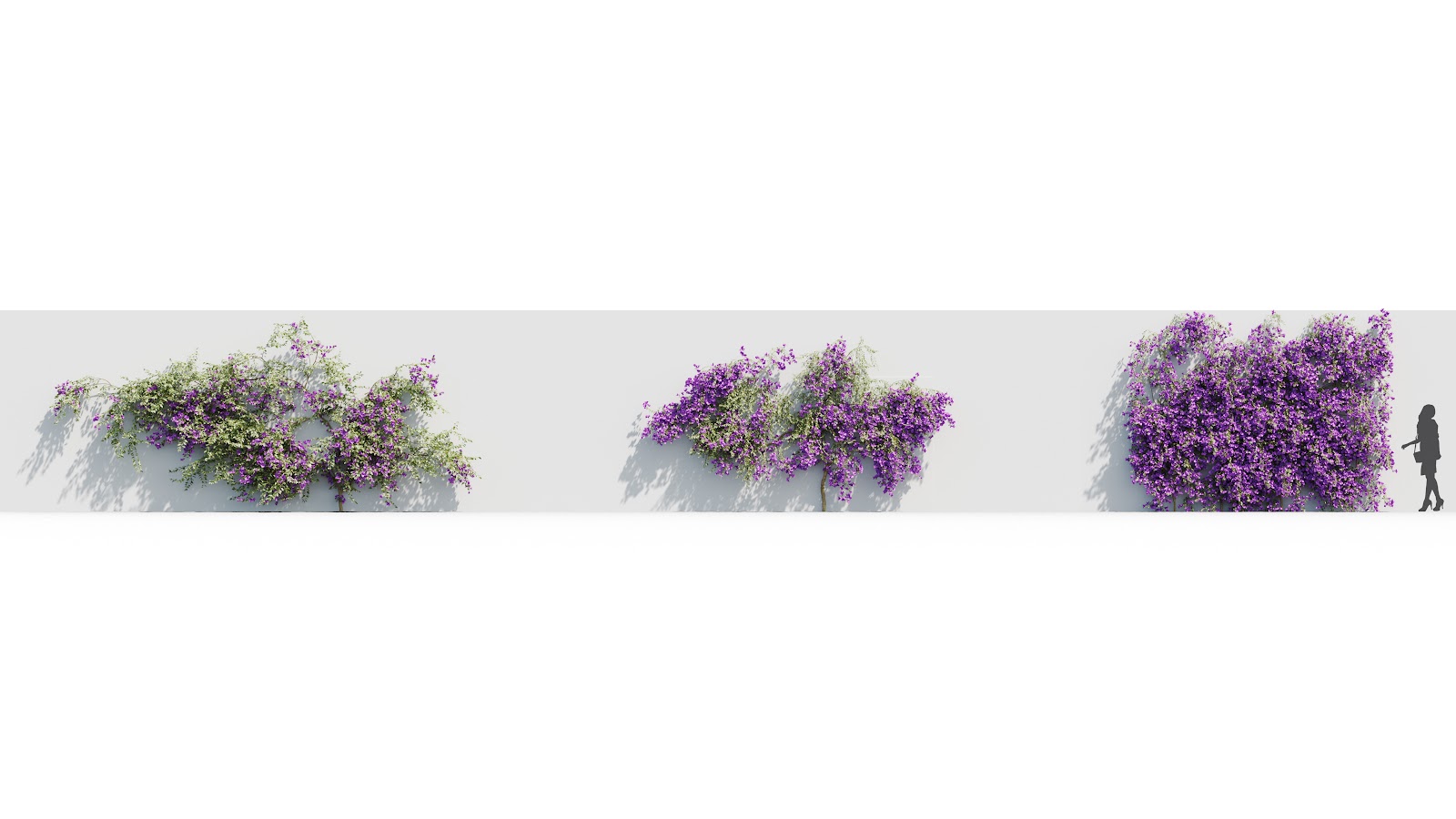 Maxtree - Plant Models Vol.37