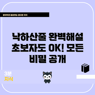 낙하산줄, 초보자 가이드, 낙하산 용품, 안전 장비, 취미 스포츠