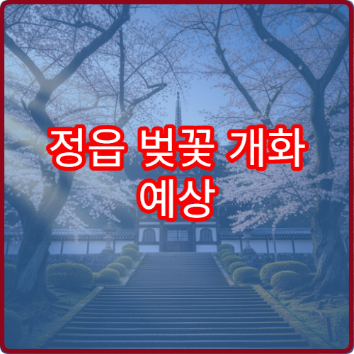 정읍 벚꽃 개화 예상 정읍 봄꽃 절정 정보