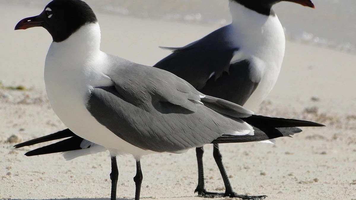 인간관계에서 애착과 거리의 차이가 갈등 발생에 미치는 이유