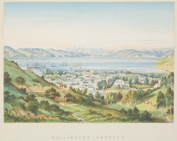 New Zealand Graphic and Descriptive Wellington Harbour 1877