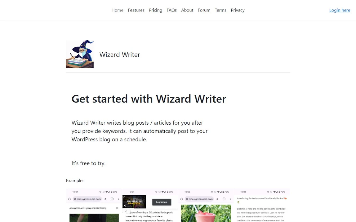 Captura de Wizard Writer