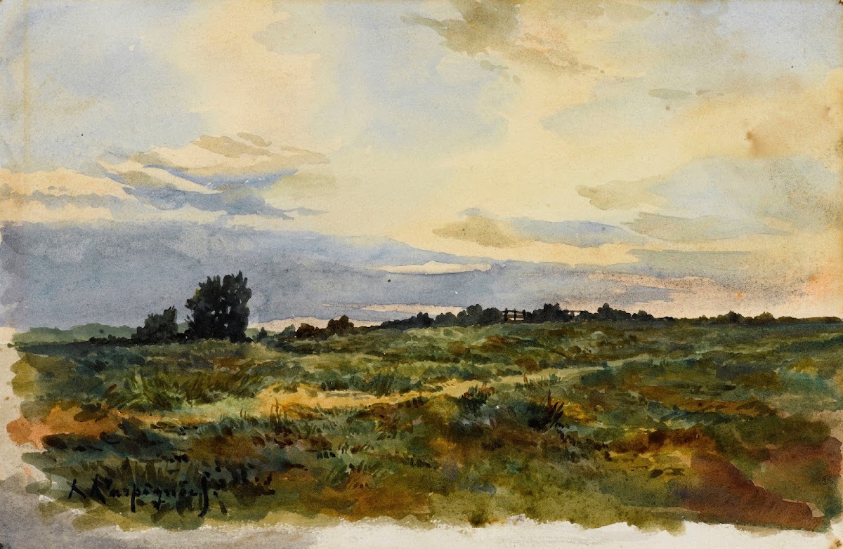 Paysage