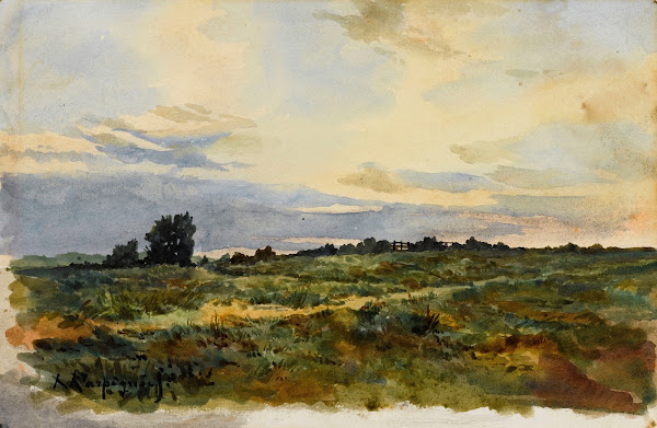 Paysage