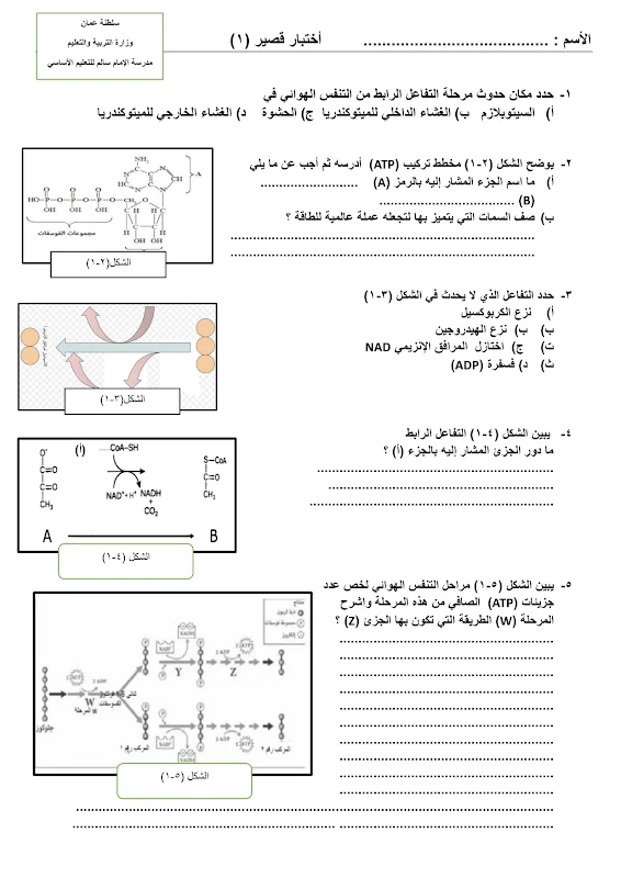 صورة الغلاف