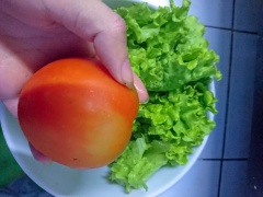 Xà lách cắt nhỏ. 2 quả trứng còn lại bạn luộc chín. Bóc vỏ cắt làm 6. Cà chua cắt lát vừa ăn. Trộn đều tất cả nguyên liệu với nhau là có thể thưởng thức rồi.