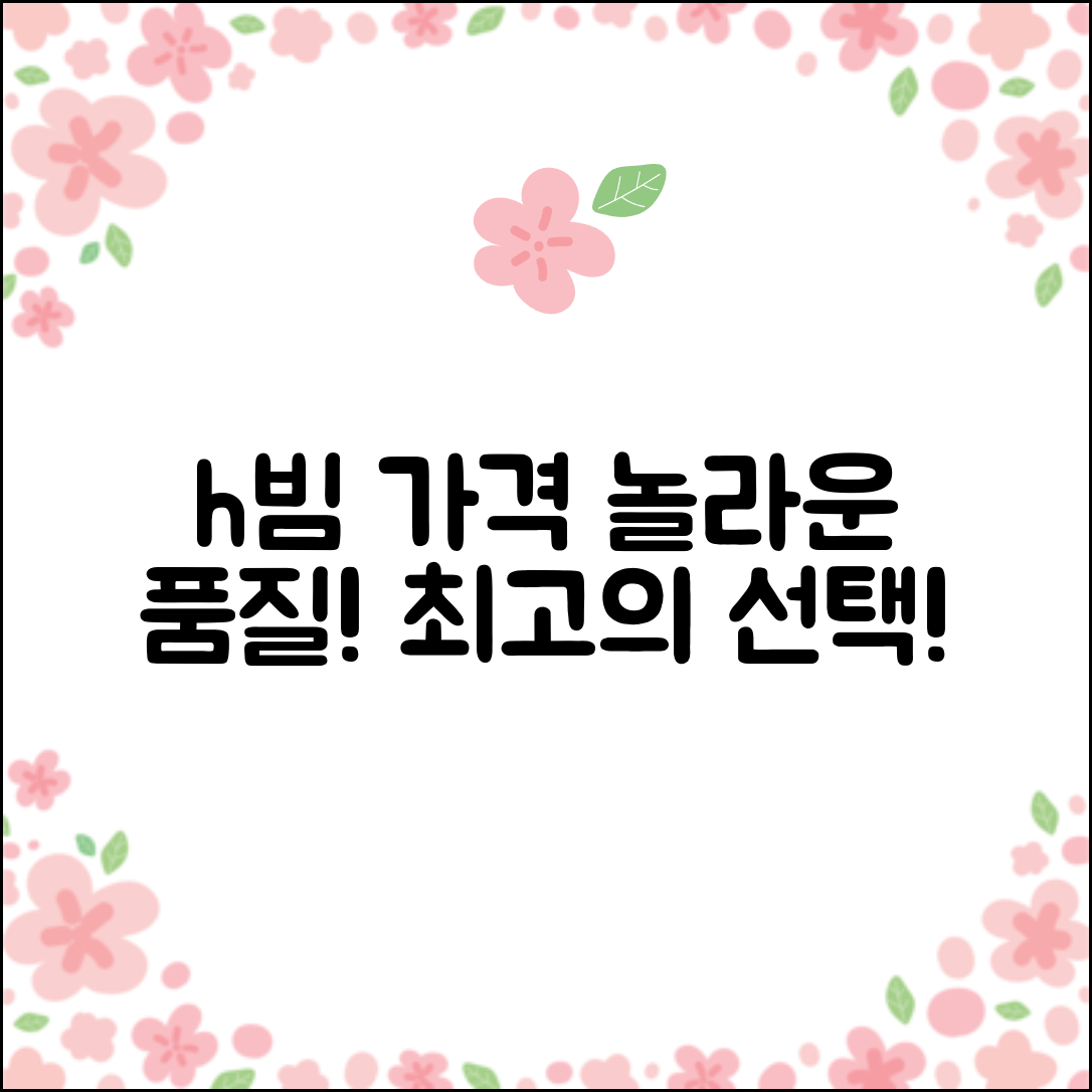 “h빔가격, 가격 대비 품질이 놀라워요!”