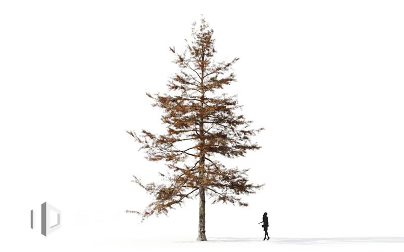 Maxtree - Plant Models Vol.9
