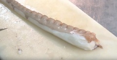 Bạch tuộc rửa thật sạch, lâu khô rồi đặt lên thớt. Dùng dao thật sắc bén cắt bỏ lớp da nhầy và thừa ở bên ngoài xúc tua bạch tuộc.